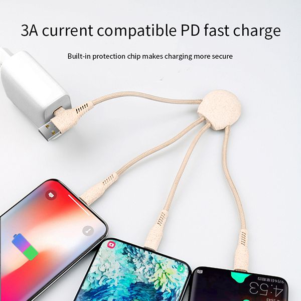 Eco Wheat 4-in-1 Charging Cable - Image 2