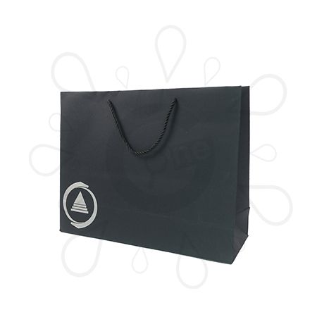 Silver Foil Printed Paper Bag - ChinaAMC(HK) - Image 2