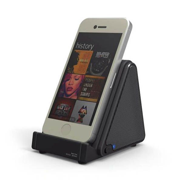 Induction Speaker - Image 2