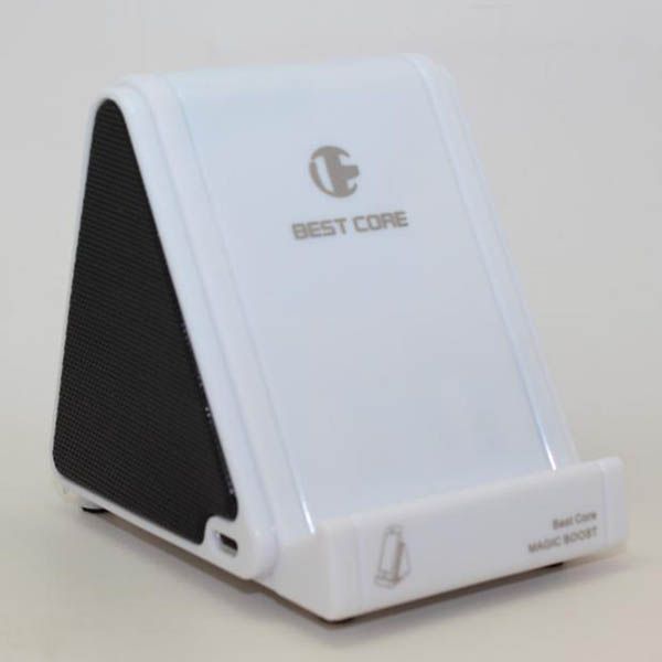 Induction Speaker - Image 4