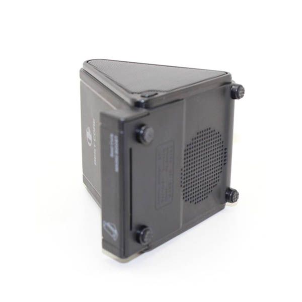 Induction Speaker - Image 5