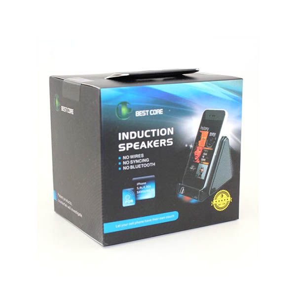 Induction Speaker - Image 6