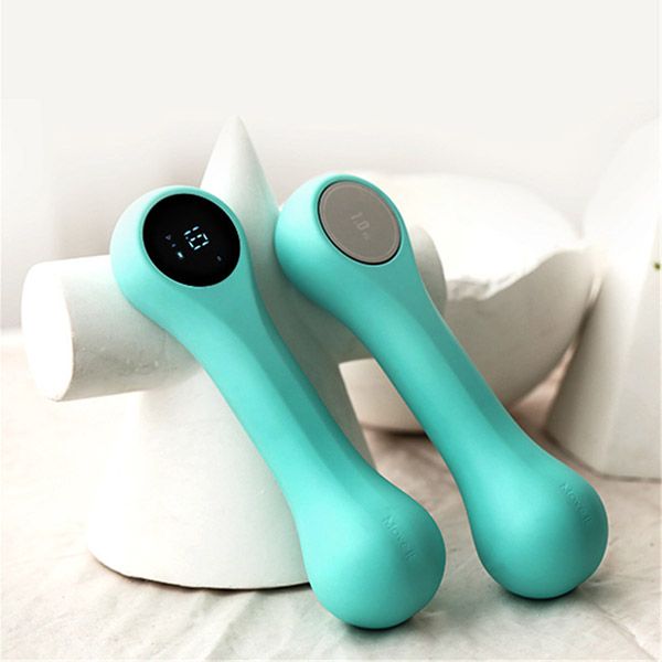 Smart Fitness Dumbbell