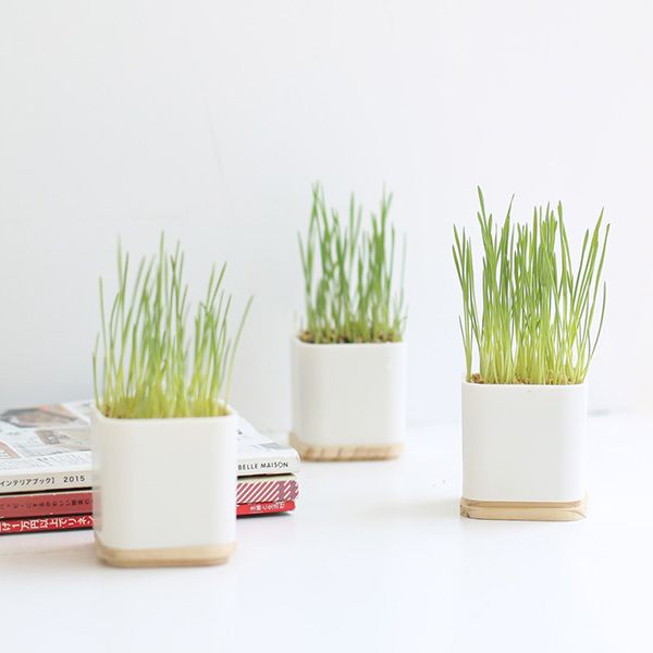Eco-Friendly Planters - Image 2