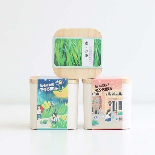 Eco-Friendly Planters - Image 3