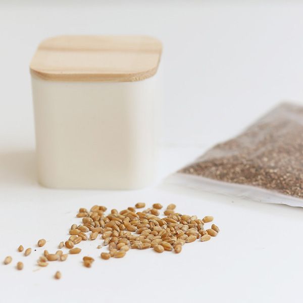 Eco-Friendly Planters - Image 4