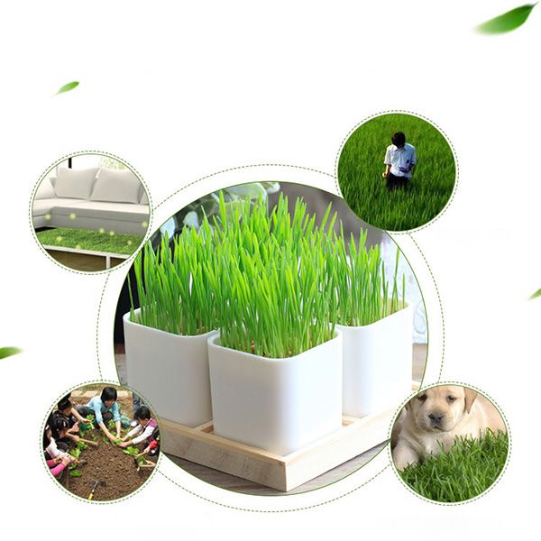 Eco-Friendly Planters - Image 5