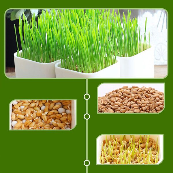 Eco-Friendly Planters - Image 6