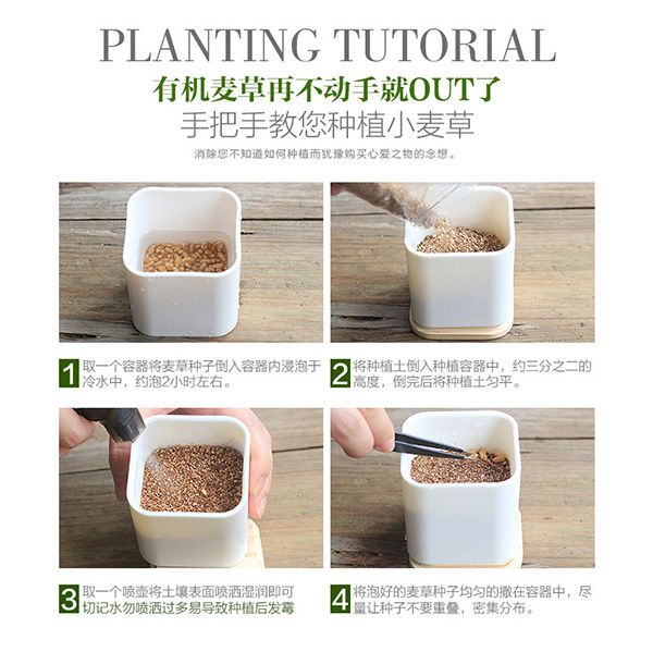 Eco-Friendly Planters - Image 7