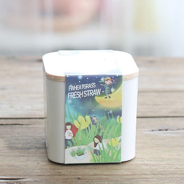 Eco-Friendly Planters - Image 8