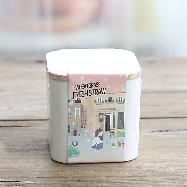 Eco-Friendly Planters - Image 9