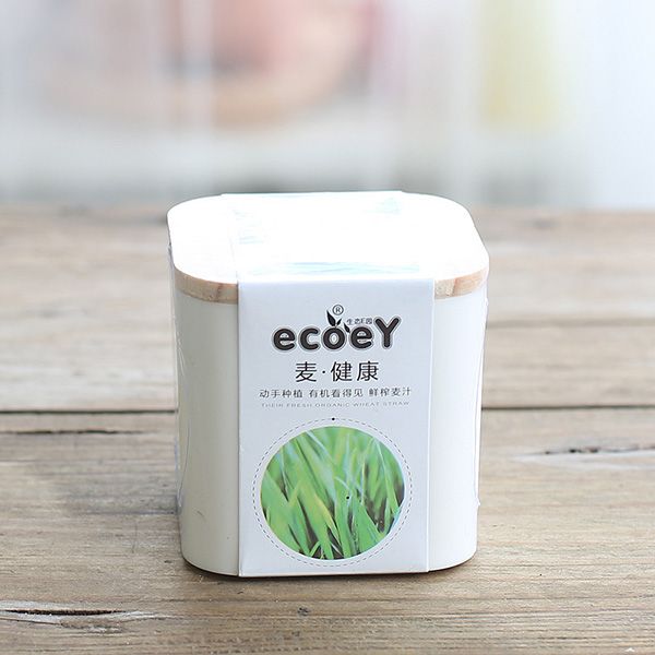 Eco-Friendly Planters - Image 10