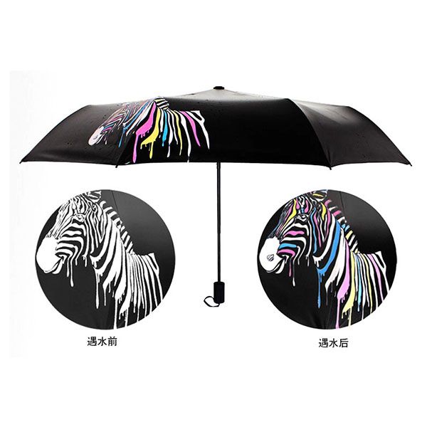 Color Changing Umbrella