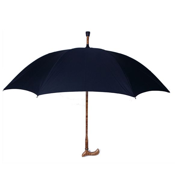 Cane Umbrella - Image 2