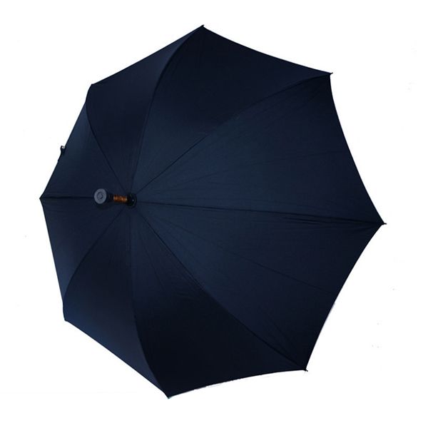 Cane Umbrella - Image 3