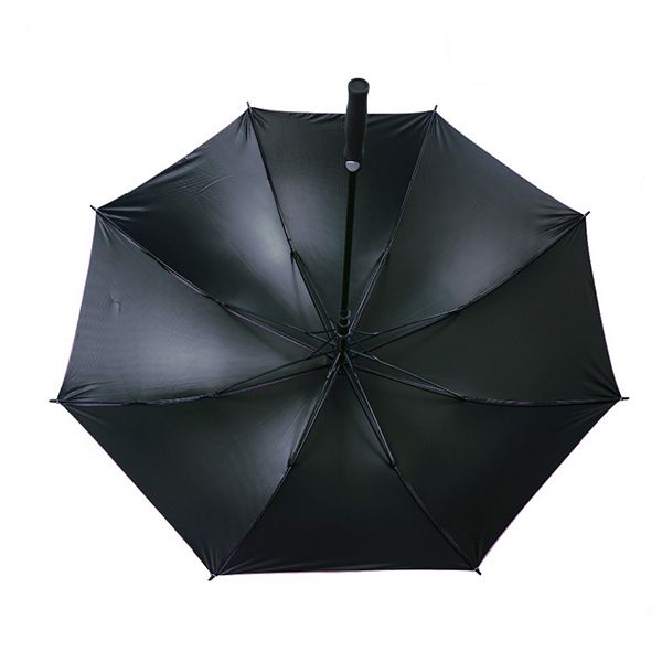 Cane Umbrella - Image 4