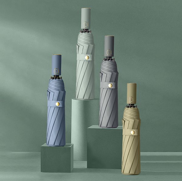 Morandi Automatic Umbrella