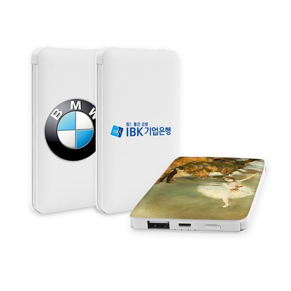 SMODO Dual-Cable Power Bank