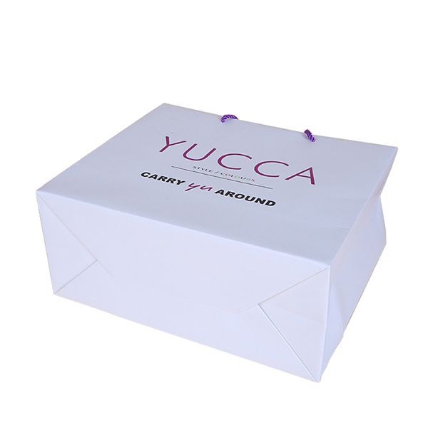 Custom Paper Bag - Image 4