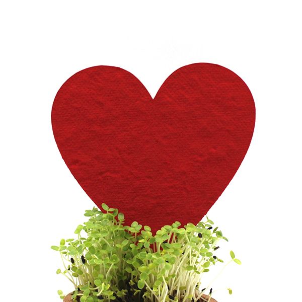 Eco-Friendly Seed Paper - Image 5