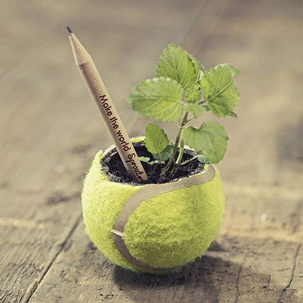 Plantable Seed Pencil - Image 3