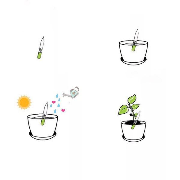 Plantable Seed Pencil - Image 7