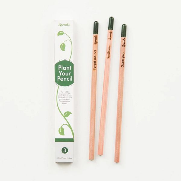 Plantable Seed Pencil - Image 9