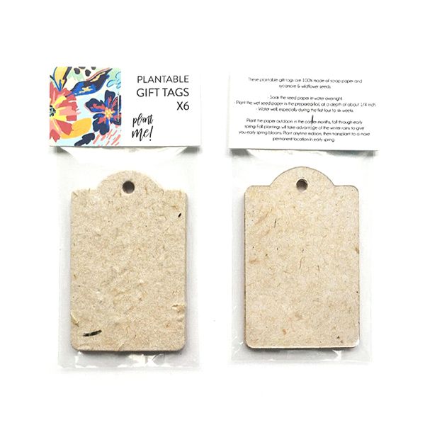 Eco Seed Paper Calendar - Image 3
