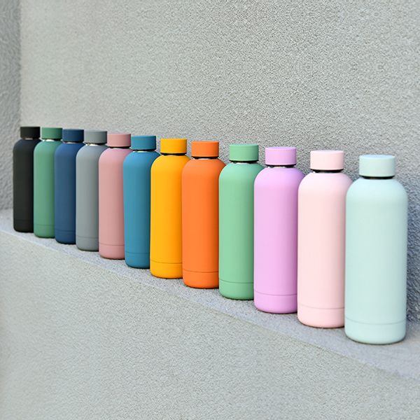 Matte Insulated Bottle